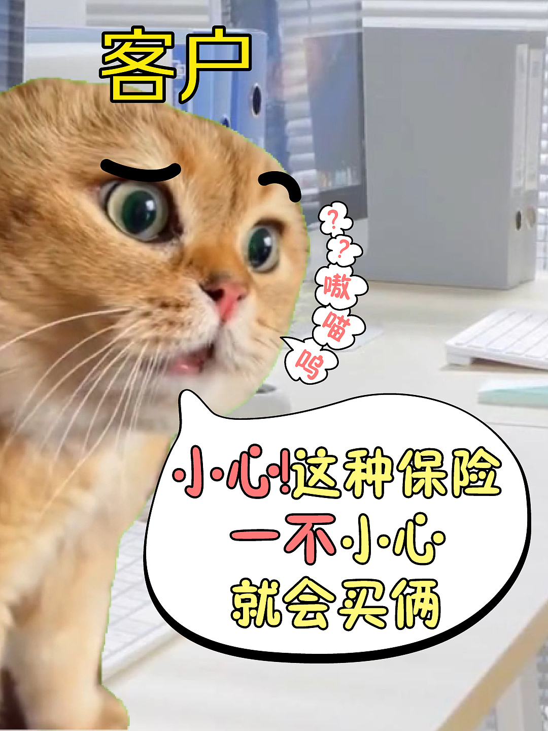 猫meme小红书封面（图ZNDAyNTAzMDMy） - 其他平面 - 站酷设计师油墩子_恒原创素材 - 站酷ZCOOL