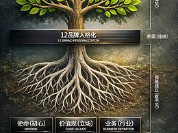 光光与蛋蛋：从0到1构建可生食鸡蛋品牌