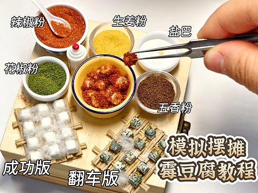 为什么我用粘土微缩的霉豆腐真的发霉了之粘土食玩教程