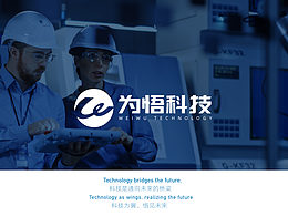 为悟科技 品牌提案
