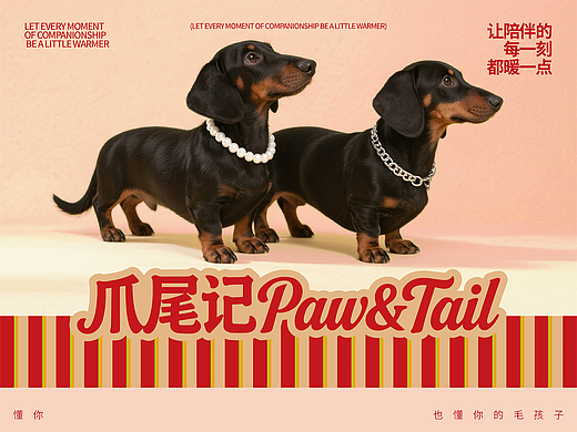 爪尾记 Paw&Tail丨宠物品牌策划设计