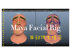 Maya面部绑定练习(纯骨骼可直接进引擎)