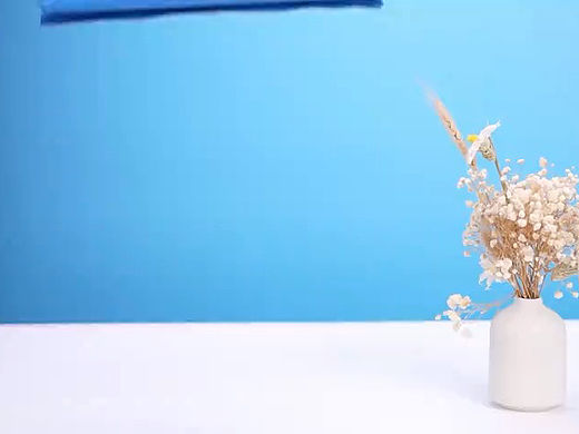 产品展示广告：海洋饼干