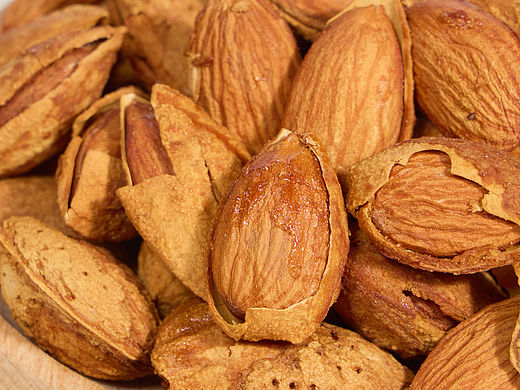 2025拍摄 瓜子及干果