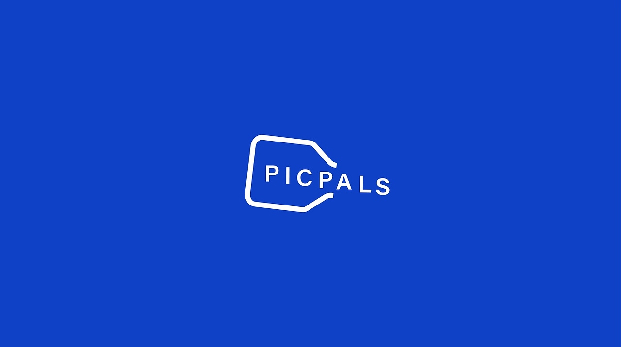 PICPALS | 高端匹克球专业运动品牌（图ZNDAyNTc1Mjk2） - 品牌 - 站酷设计师INFINITE品牌设计原创素材 - 站酷ZCOOL