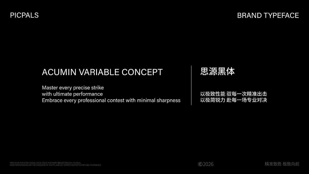 PICPALS | 高端匹克球专业运动品牌（图ZNDAyNTc1MzA4） - 品牌 - 站酷设计师INFINITE品牌设计原创素材 - 站酷ZCOOL