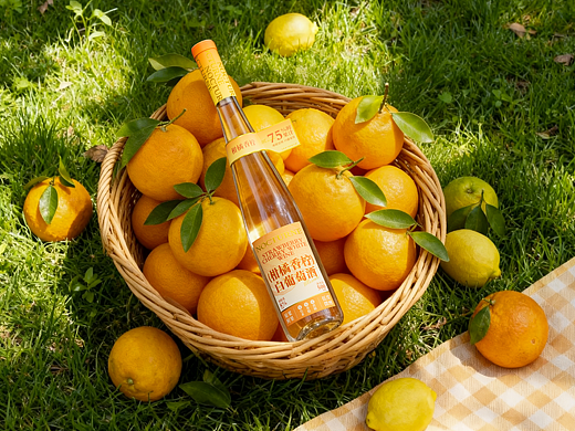 NOCTURNE白葡萄酒-包装全案设计