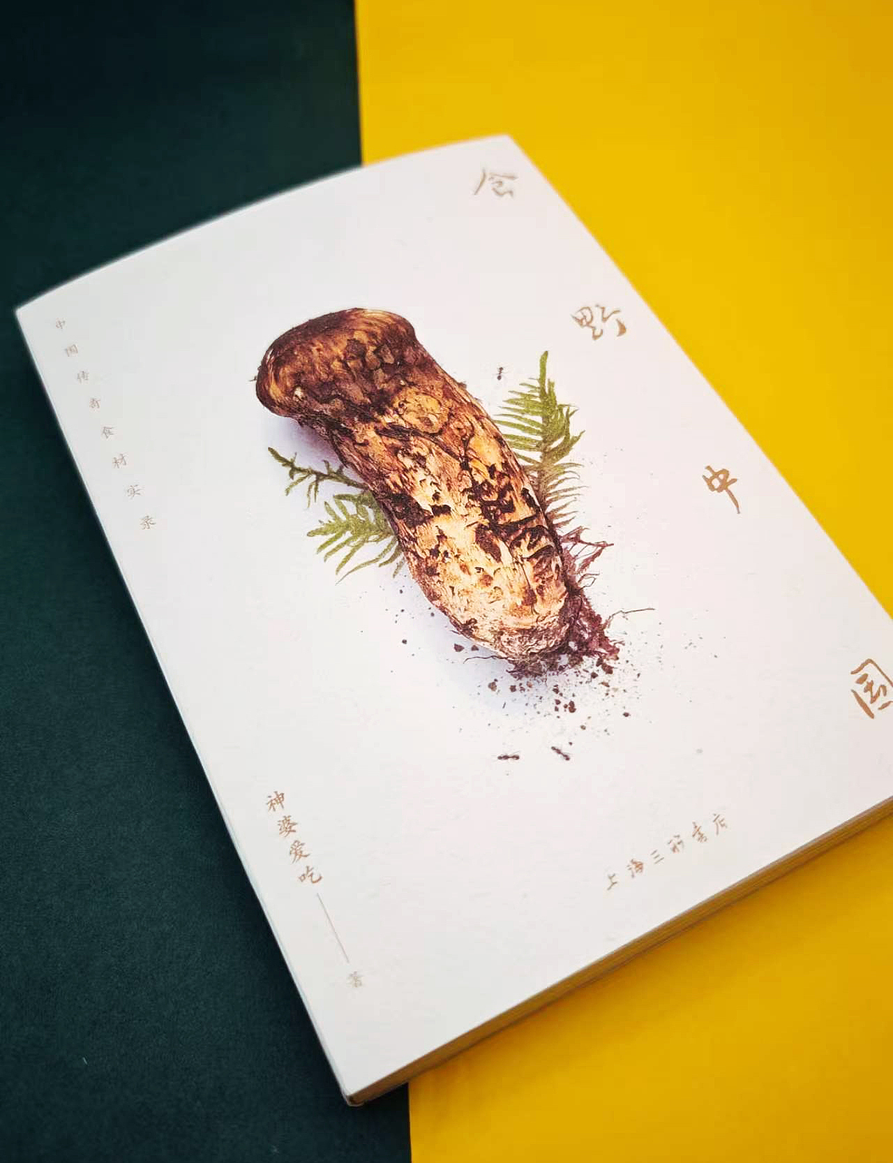 食野中国（图ZNDAyNTg3NTQ0） - 书籍/画册 - 站酷设计师shinorz原创素材 - 站酷ZCOOL