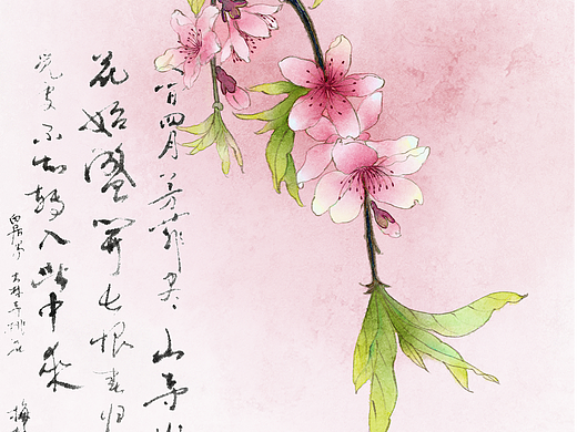 装满春天的梅花瓶（个人主页-ZNzMxNTMyNjg=） - 创作习作 - 站酷设计师阿豆菲菲原创素材 - 站酷ZCOOL