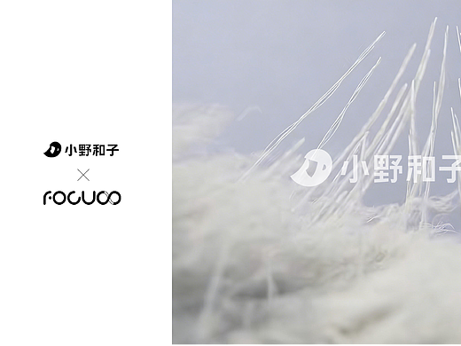 FOCUS X 小野和子｜杨幂官宣代言 