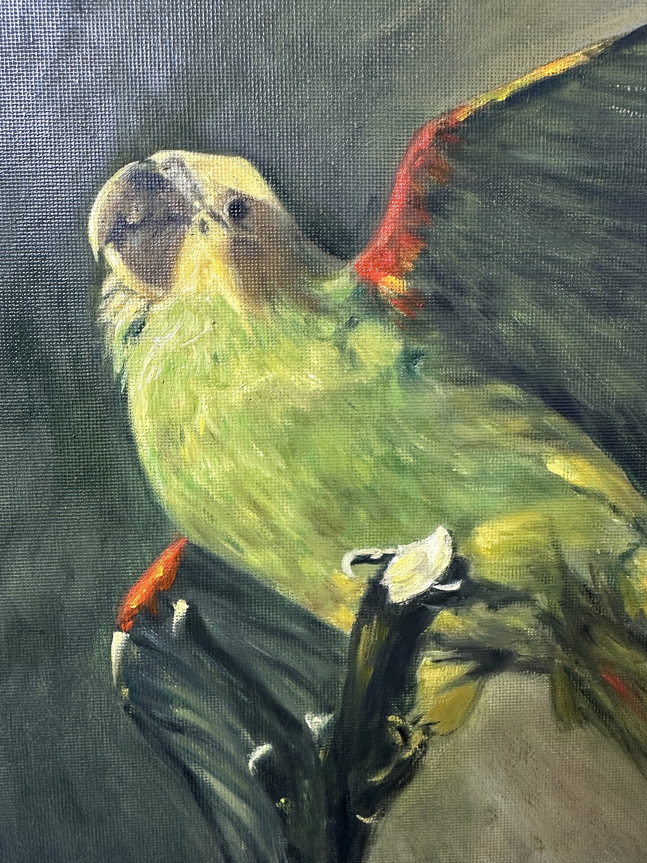 梵高的绿鹦鹉（图ZNDAyNjI1OTMy） - 绘画 - 站酷设计师灯灯灯灯灯deng原创素材 - 站酷ZCOOL