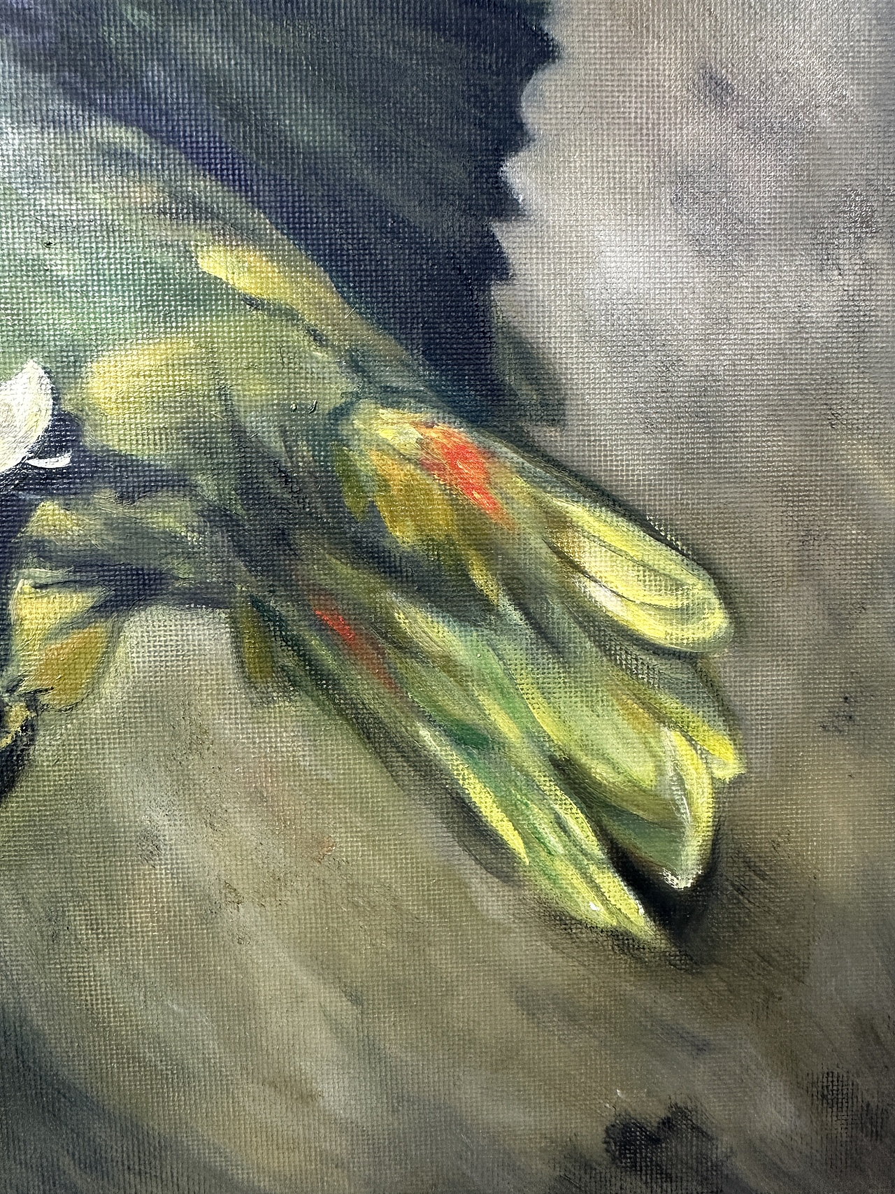 梵高的绿鹦鹉（图ZNDAyNjI1OTM2） - 绘画 - 站酷设计师灯灯灯灯灯deng原创素材 - 站酷ZCOOL