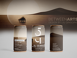 加拿大五四精釀啤酒包裝