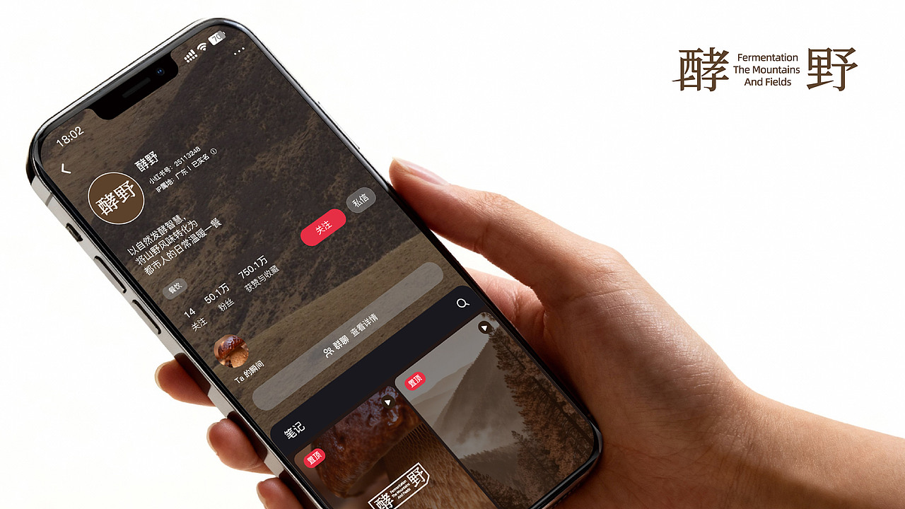 酵野餐饮品牌全案设计（图ZNDAyNjI3NjI0） - 品牌 - 站酷设计师yike24原创素材 - 站酷ZCOOL