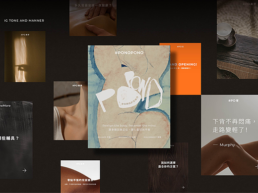 PONOPONO LOGO / Brand Identity