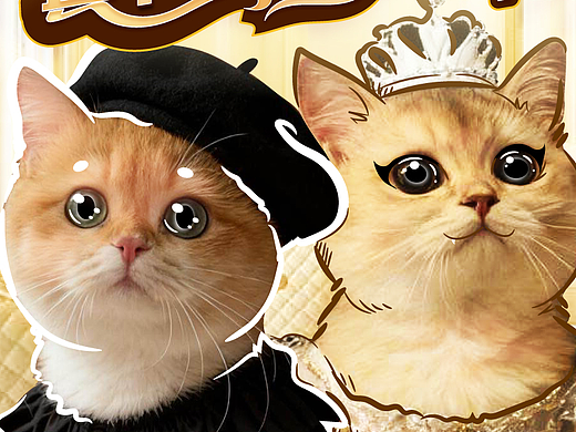 猫meme小红书封面