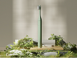 牙刷植物動(dòng)畫(huà)臨摹練習(xí)