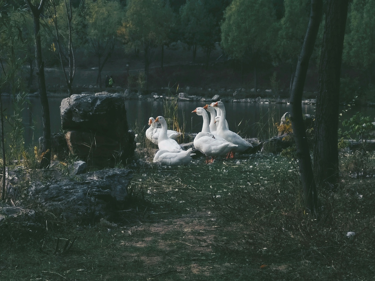 攝影作品（圖ZNDAyNjY0NjYw） - 人文/紀實攝影 - 站酷設(shè)計師是立方體啦原創(chuàng)素材 - 站酷ZCOOL