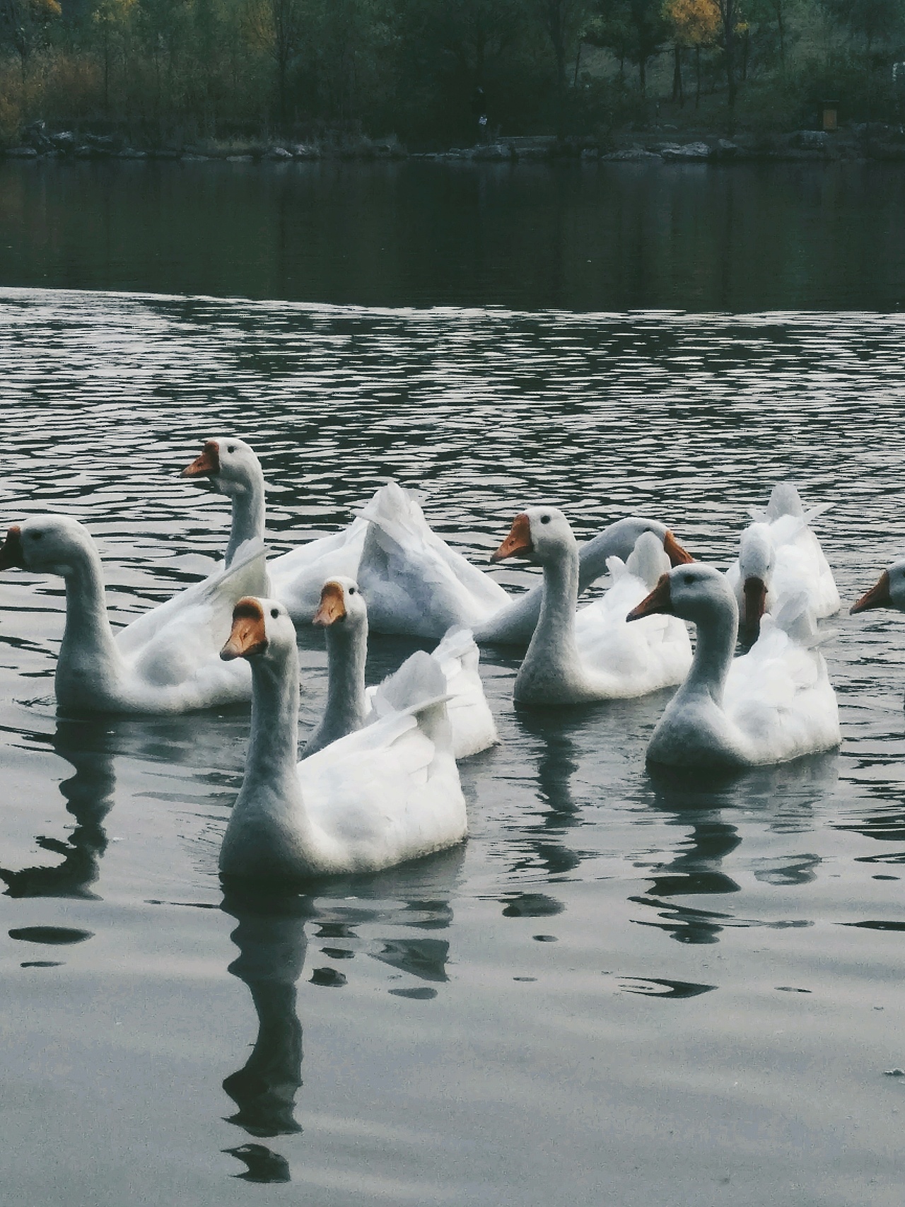 攝影作品（圖ZNDAyNjY0NjY0） - 人文/紀實攝影 - 站酷設(shè)計師是立方體啦原創(chuàng)素材 - 站酷ZCOOL