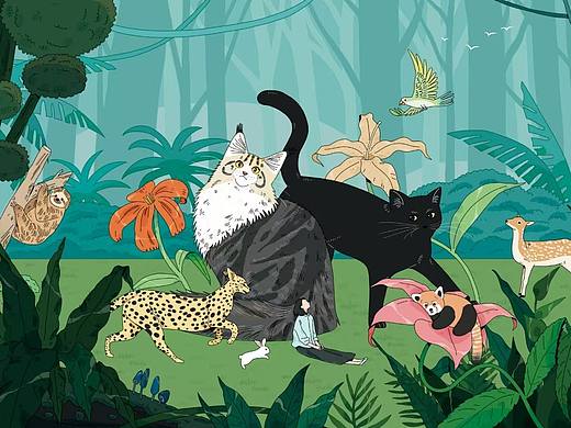 商业插画案例｜猫砂包装插画项目分享