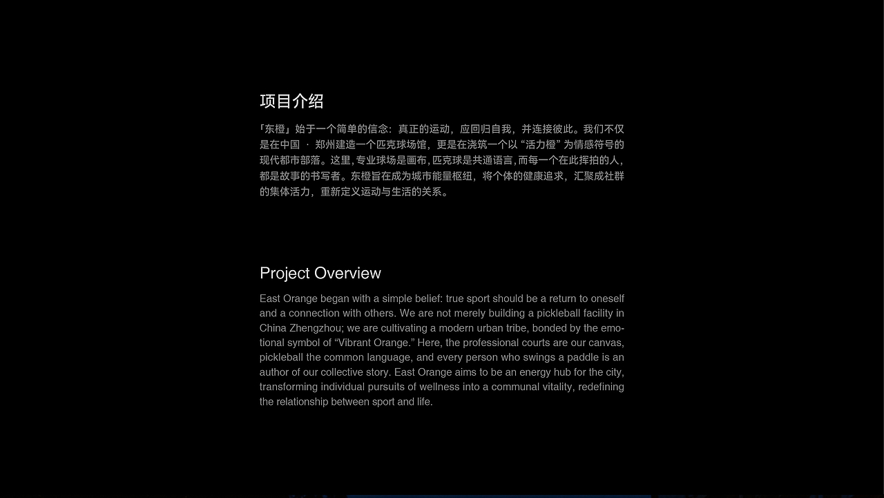 东橙匹克品牌设计（图ZNDAyNjc4OTA0） - 品牌 - 站酷设计师你好大海品牌设计原创素材 - 站酷ZCOOL