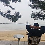 小马的一天的头像