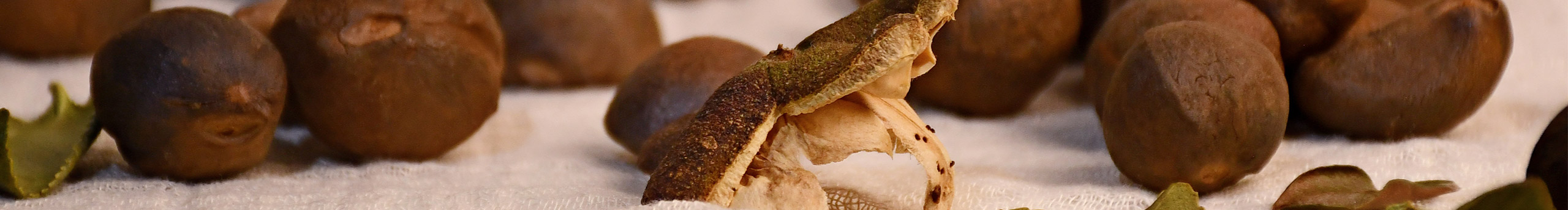 吖木木木的個(gè)人主頁(yè)（封面預(yù)覽） - 主頁(yè)封面設(shè)置 - 站酷設(shè)計(jì)師吖木木木原創(chuàng)素材 - 站酷ZCOOL