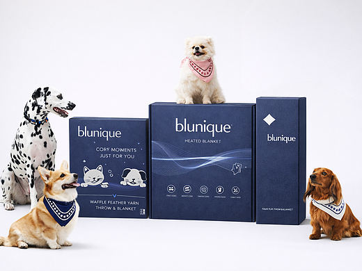 AI制作 包装设计