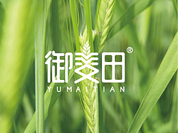 御麦田 | 品牌设计