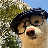 有一树赴春的头像