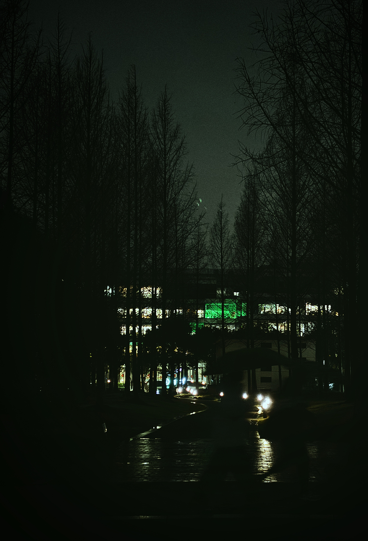 雨夜（图ZNDAyNzMyNTEy） - 人文/纪实摄影 - 站酷设计师云州木子李原创素材 - 站酷ZCOOL