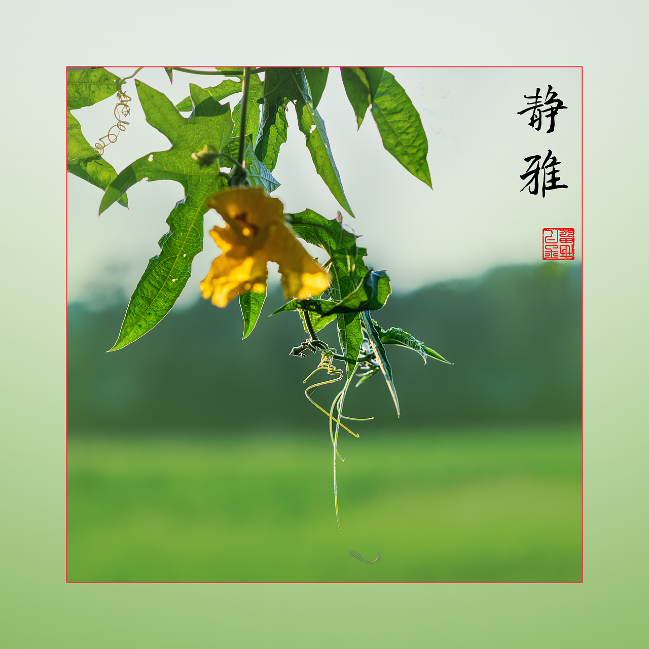 瓜田地里（图ZNDAyNzYwNjM2） - 风光摄影 - 站酷设计师yangqiugui578原创素材 - 站酷ZCOOL