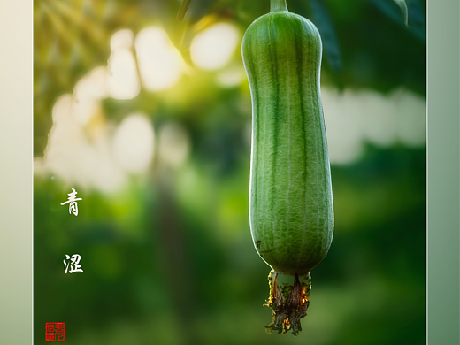 瓜田地里（個人主頁-ZNzMxNzE0ODQ=） - 風光攝影 - 站酷設(shè)計師yangqiugui578原創(chuàng)素材 - 站酷ZCOOL