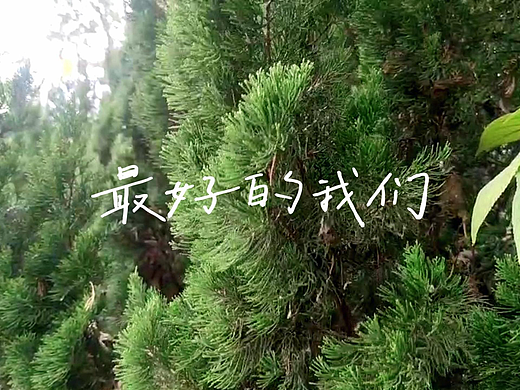 《最好的我们》（拍摄、剪辑）