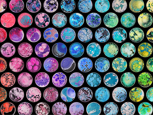 晶体花园·四季