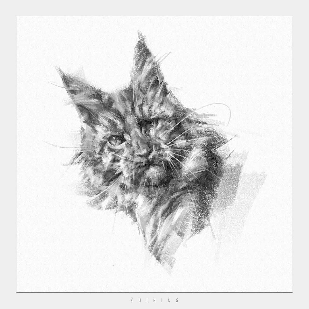 猫素描（图ZNDAyODE4NDY4） - 绘画 - 站酷设计师cuin62原创素材 - 站酷ZCOOL