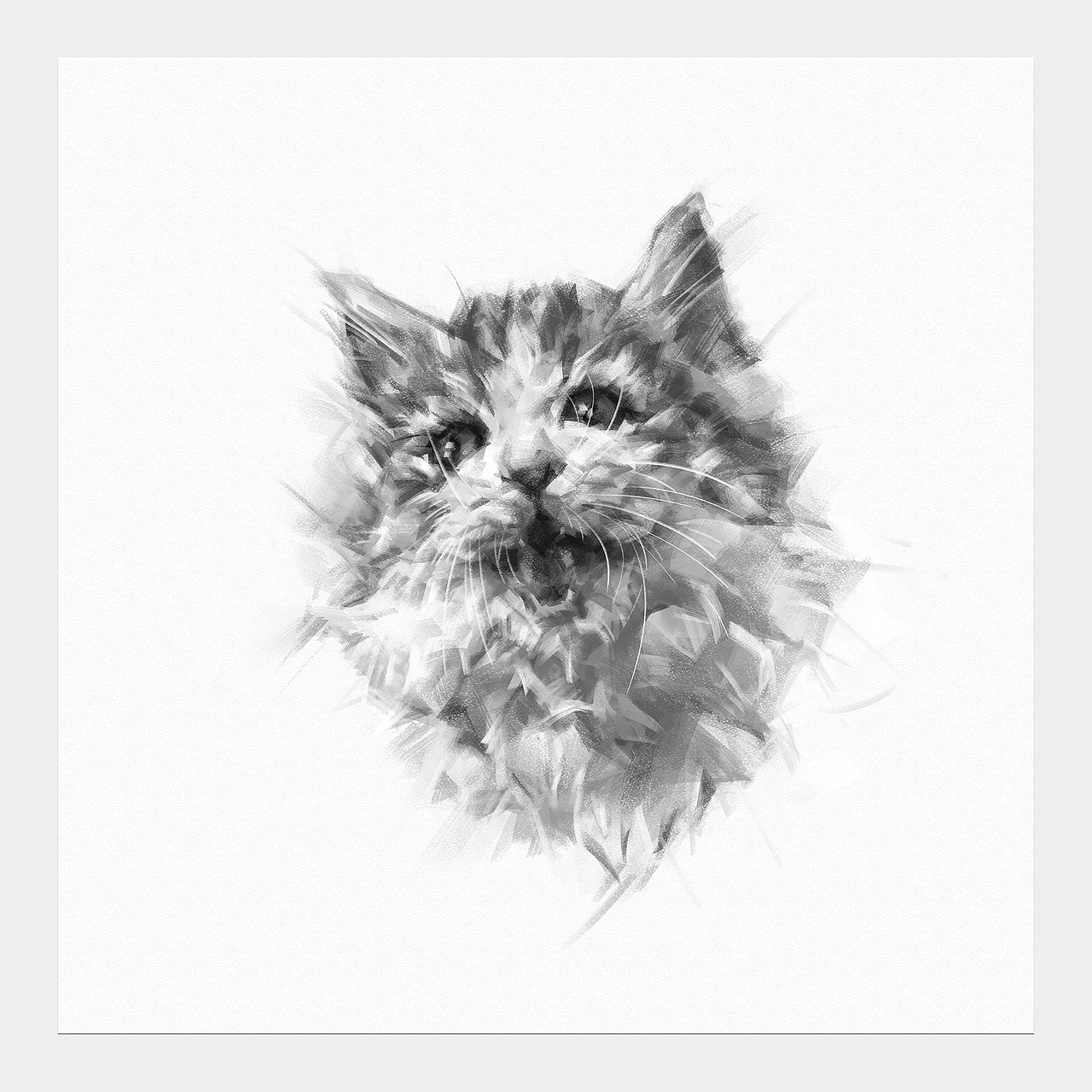 猫素描（图ZNDAyODE4NDUy） - 绘画 - 站酷设计师cuin62原创素材 - 站酷ZCOOL