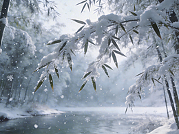 心懷山海  不至于人-竹葉青酒