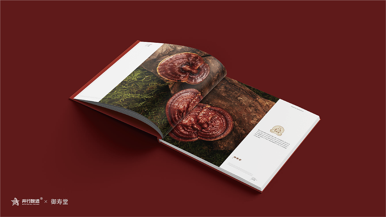 并行致远2025-2026年度作品合集（图ZNDAyODE5NzM2） - 品牌 - 站酷设计师并行设计原创素材 - 站酷ZCOOL