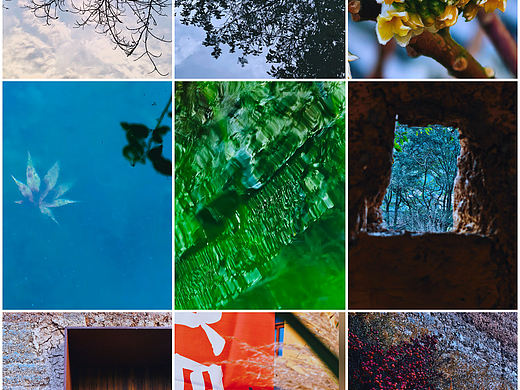 流动的绿：夏之浓荫，指尖凉的鲜活呼吸