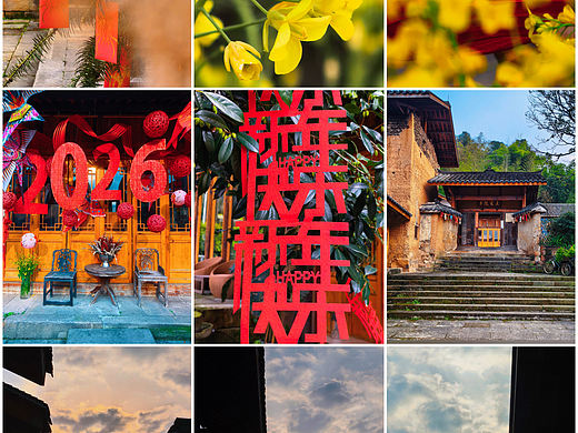 红联迎春，黄蕊报春，色彩交织岁间温柔期许