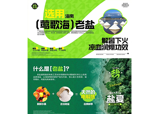 # 盐夏 鲜果老盐水 餐饮品牌VI设计