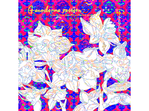 #《东方佑花》#灵芝纹-水仙花花语