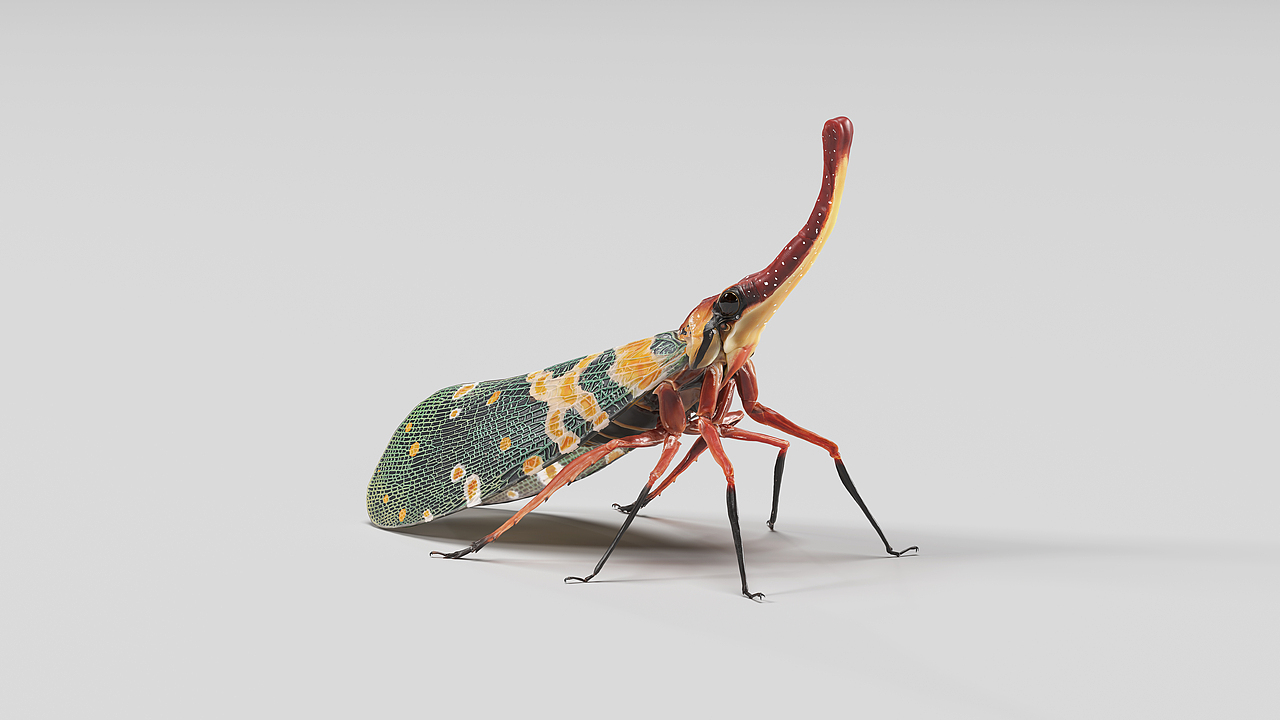 照虎画猫（图ZNDAyODQ4MDMy） - 其他三维 - 站酷设计师子炮原创素材 - 站酷ZCOOL