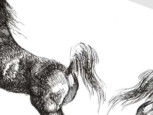 任保海神驹速写