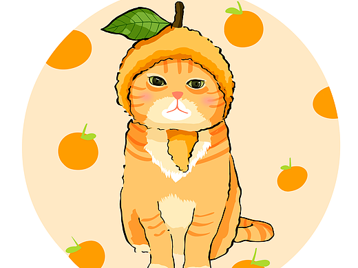 猫咪