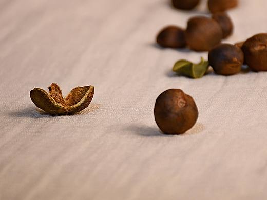 茶籽（個(gè)人主頁(yè)-ZNzMxODQ4MTY=） - 產(chǎn)品攝影 - 站酷設(shè)計(jì)師吖木木木原創(chuàng)素材 - 站酷ZCOOL