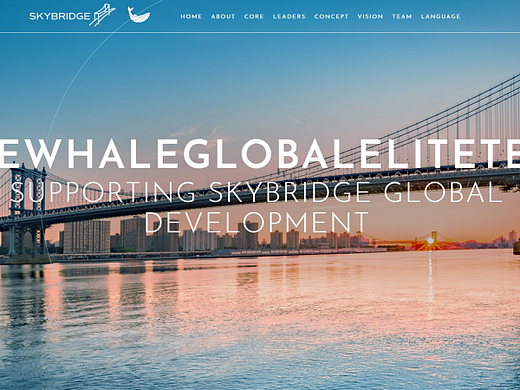 智鲸全球精英团队：链接全球资本新格局，赋能跨市场金融协同