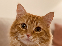 2026新年快乐！！