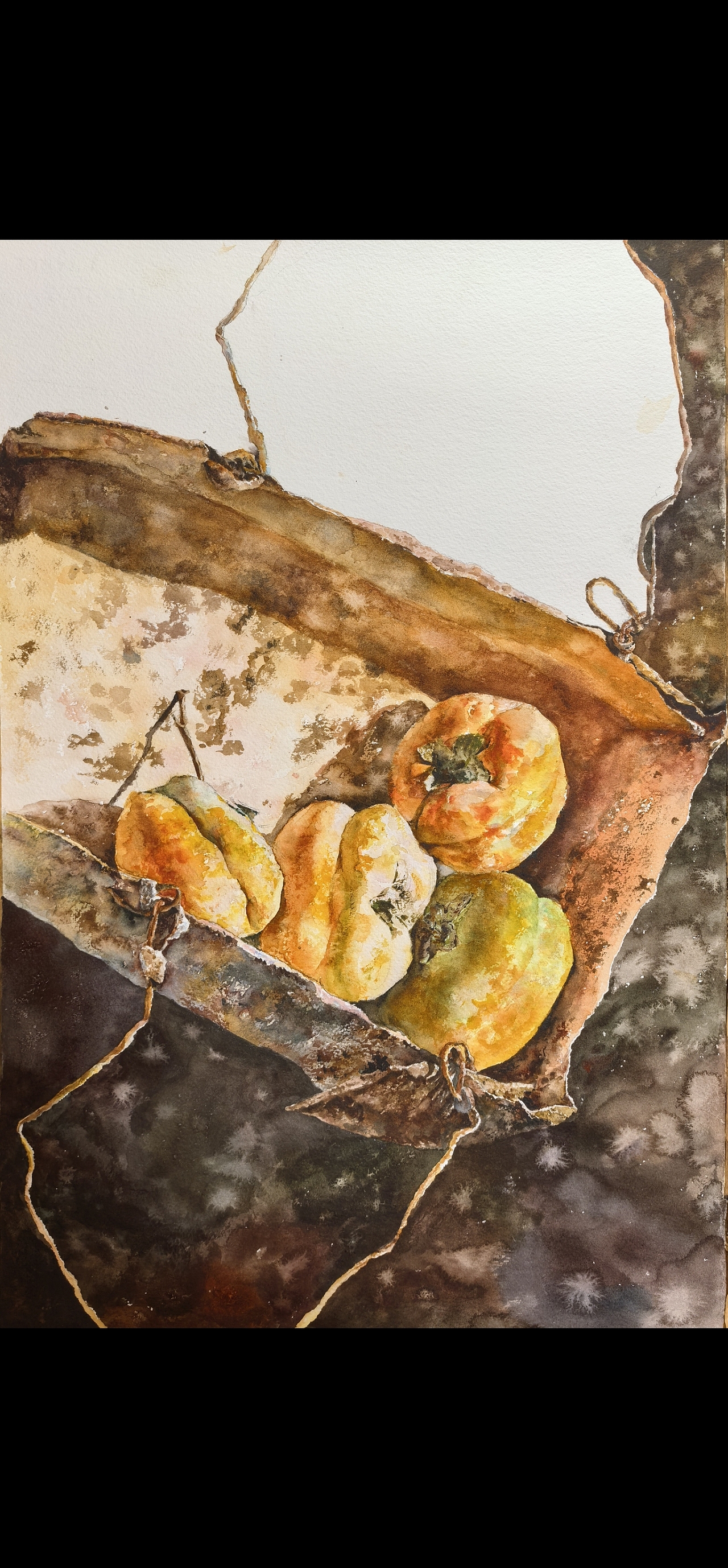 【奶奶家的柿子】（图ZNDAyOTA5MDQ0） - 绘画 - 站酷设计师我是布瓜原创素材 - 站酷ZCOOL